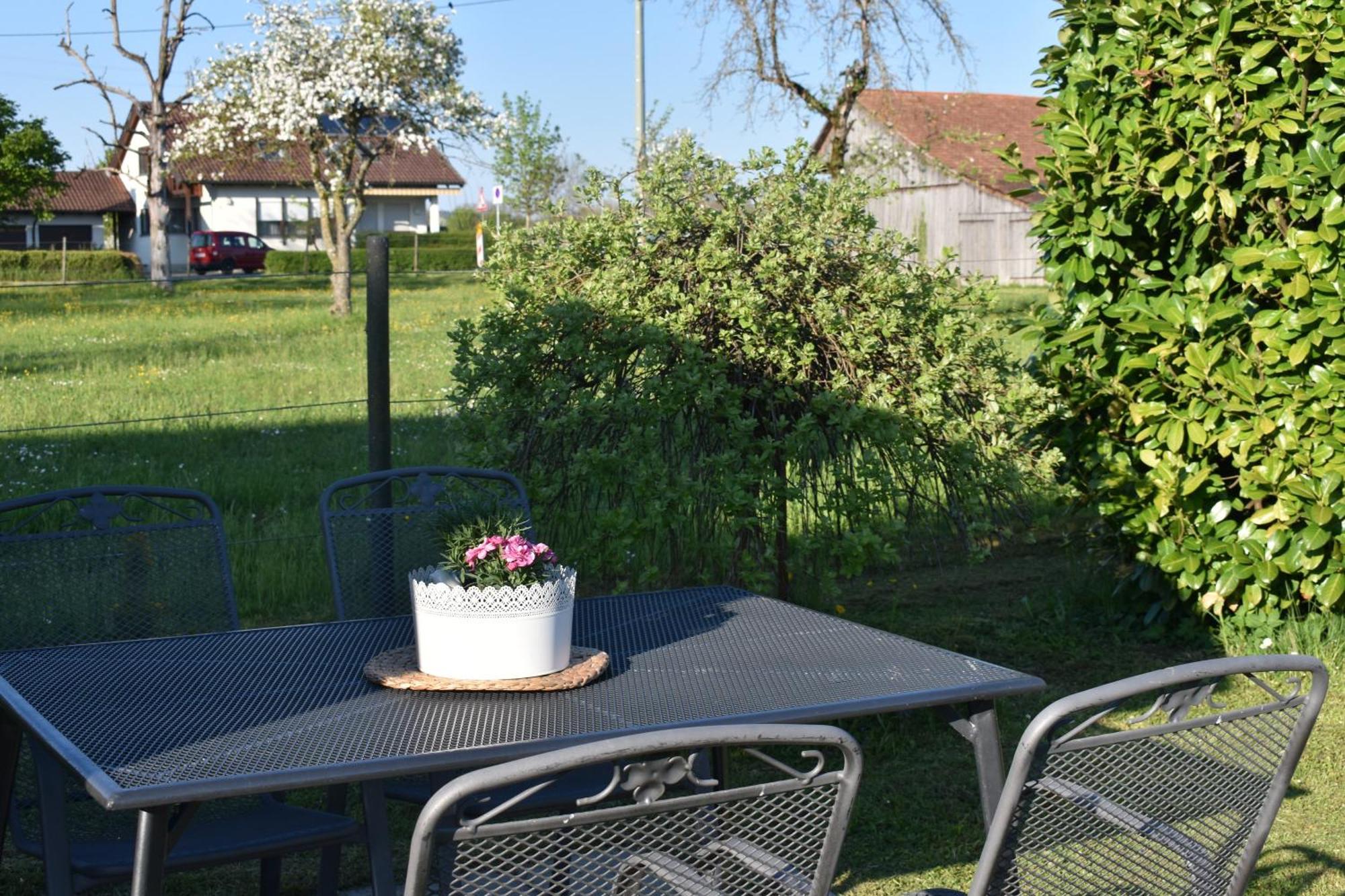 Ferien- Und Obsthof Dillmann Apartman Langenargen Kültér fotó